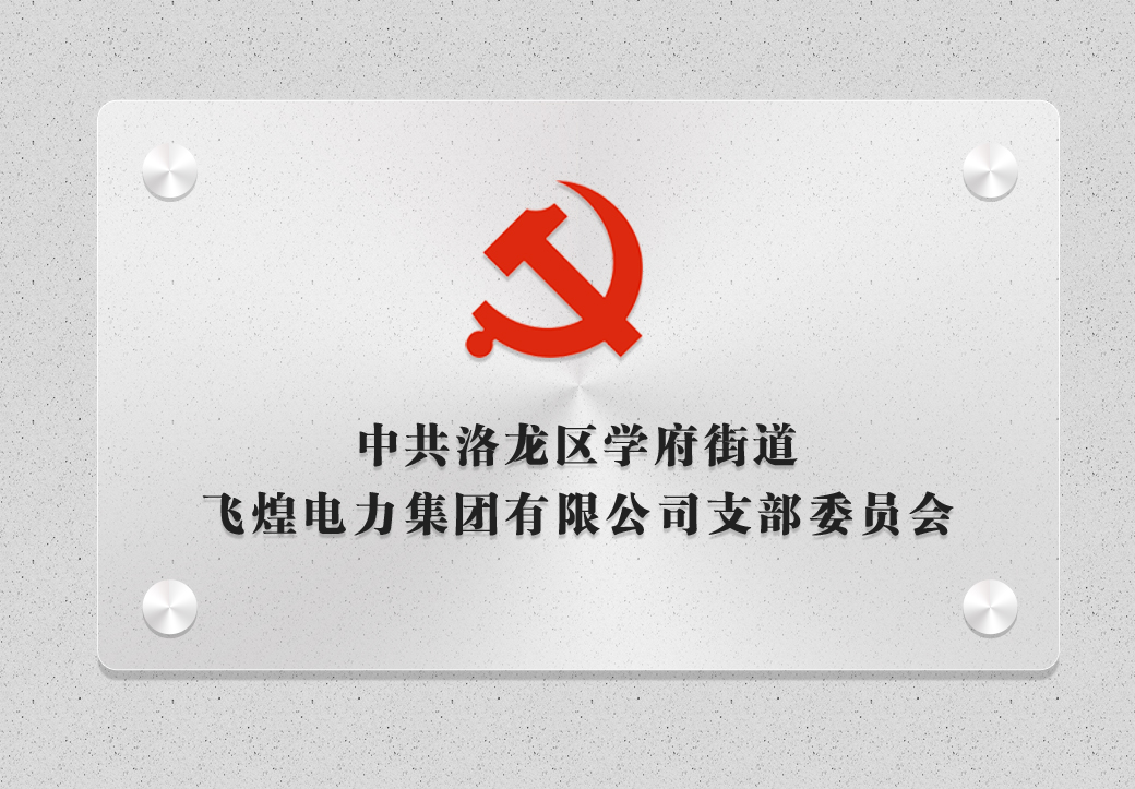 河南飛煌電力集團有限公司黨支部獲批成立！